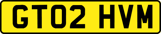 GT02HVM