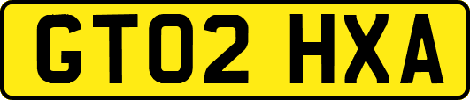 GT02HXA