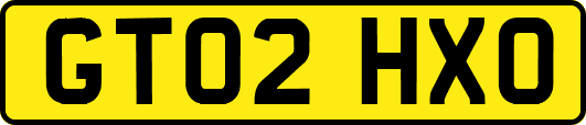 GT02HXO