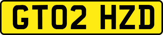 GT02HZD