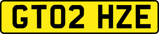 GT02HZE