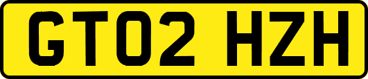 GT02HZH