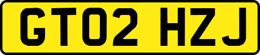 GT02HZJ