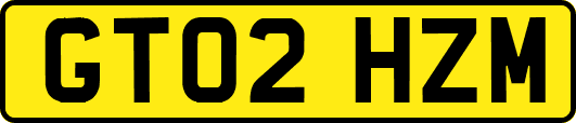GT02HZM