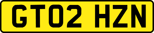 GT02HZN