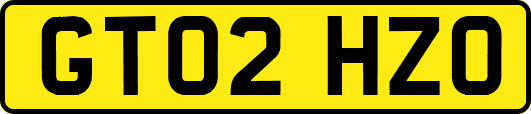 GT02HZO
