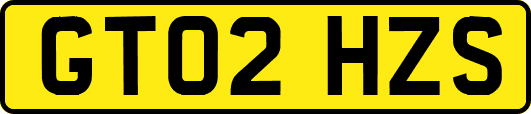 GT02HZS