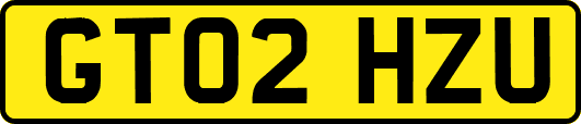 GT02HZU