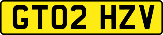 GT02HZV