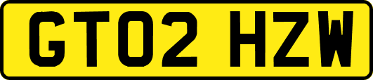 GT02HZW
