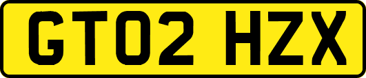 GT02HZX