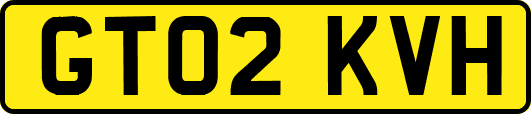 GT02KVH