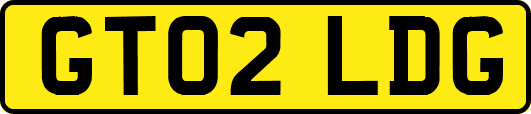 GT02LDG