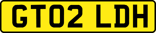 GT02LDH