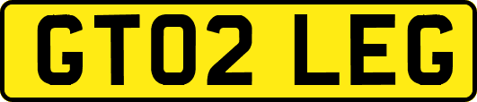 GT02LEG