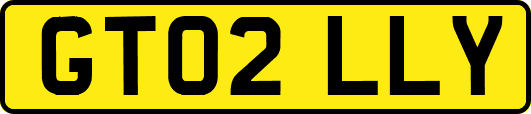 GT02LLY