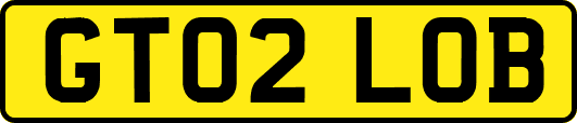GT02LOB