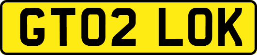 GT02LOK