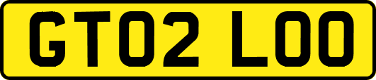 GT02LOO