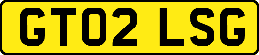 GT02LSG
