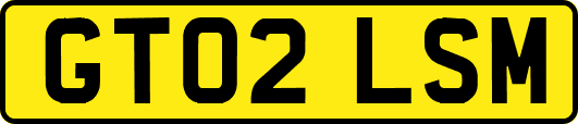 GT02LSM