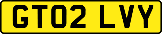 GT02LVY
