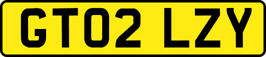 GT02LZY