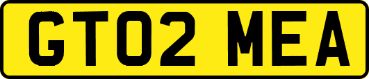 GT02MEA
