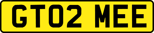 GT02MEE
