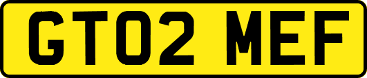GT02MEF