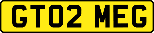 GT02MEG