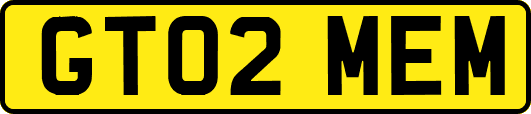 GT02MEM