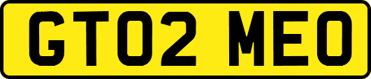 GT02MEO