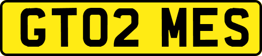 GT02MES