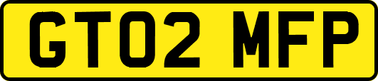 GT02MFP