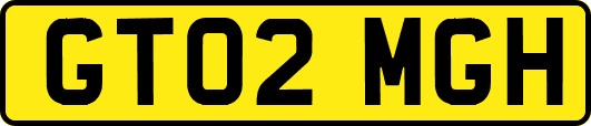 GT02MGH