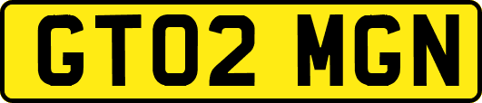 GT02MGN
