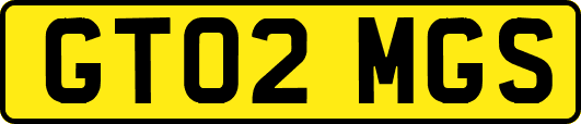 GT02MGS