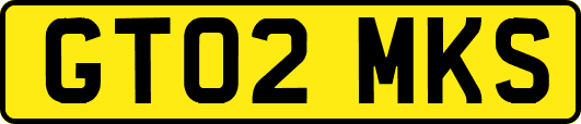 GT02MKS