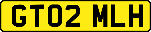 GT02MLH