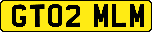 GT02MLM