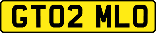 GT02MLO