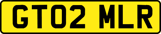 GT02MLR