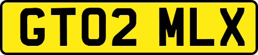 GT02MLX