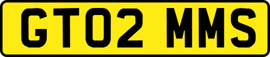 GT02MMS