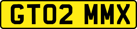 GT02MMX