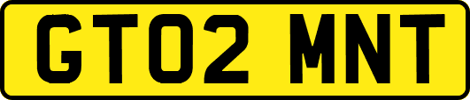 GT02MNT