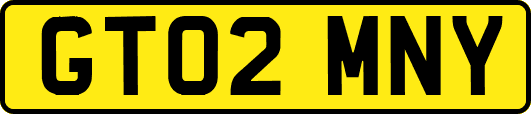 GT02MNY