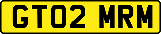 GT02MRM