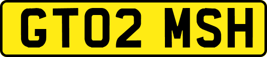 GT02MSH